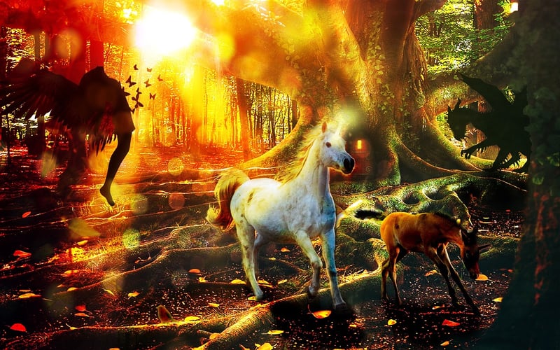Enchanted creatures